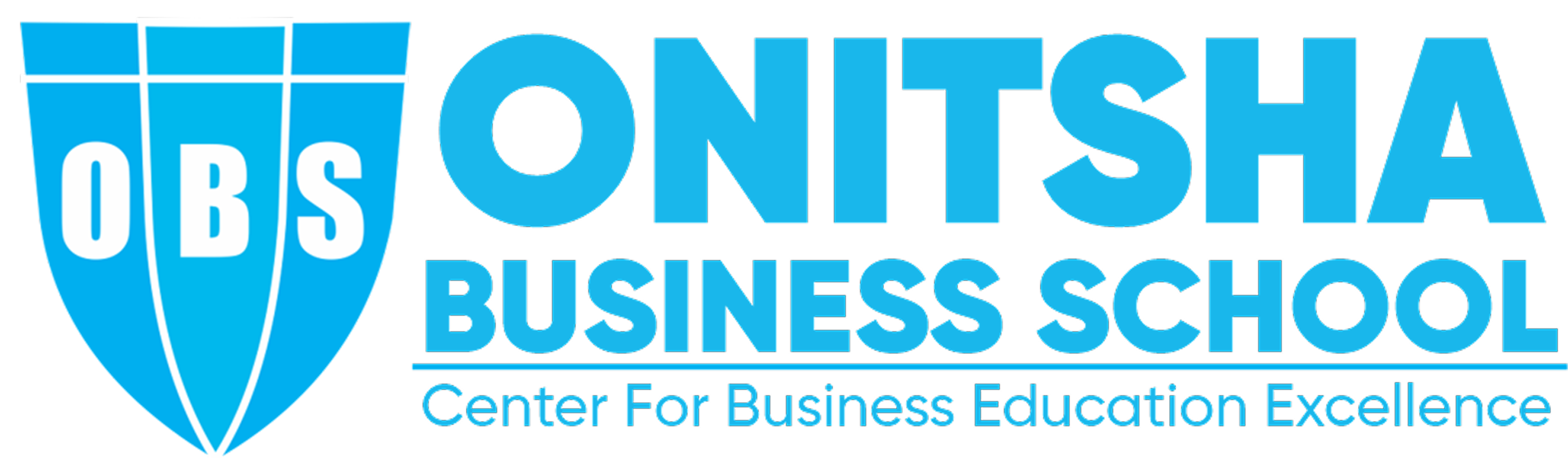 Onitsha Business School